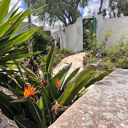 Casa Gatti - Casa Del '900 Nel Centro Di Lanzarote - Relax Tra I Vulcani